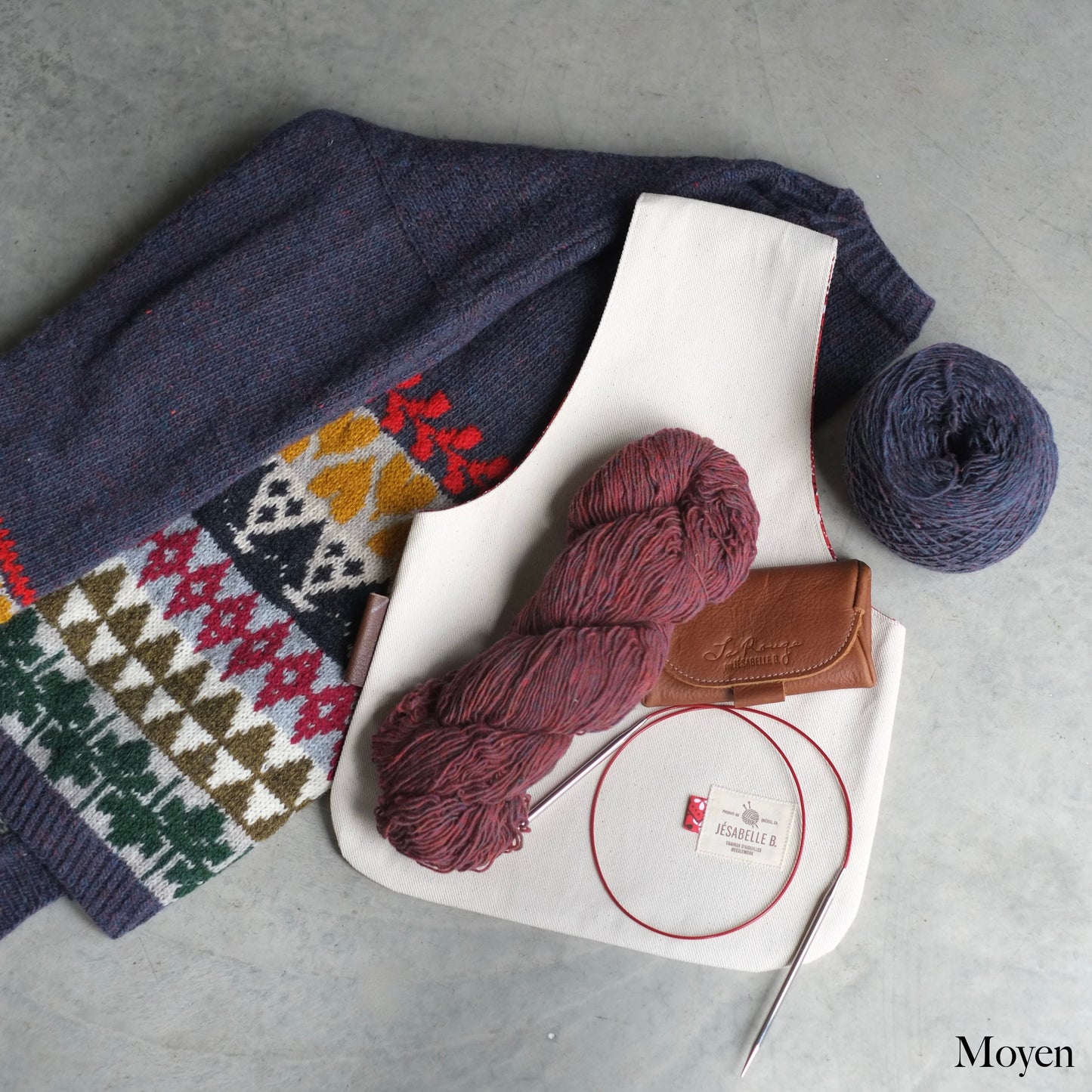 La Rouge Needle Case Moyen sac de tricot en denim beige avec écheveaux de laine et étui à aiguilles La Rouge — Medium beige denim knitting project bag with yarn skeins and La Rouge needle case — Jésabelle B.